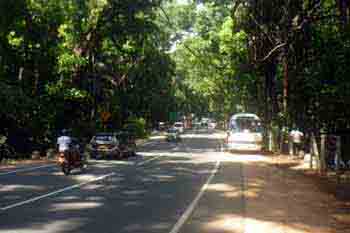 Road to Trincomalee
