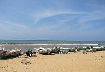 Negombo Fishing Boat